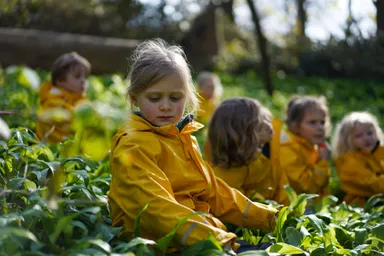 Forest School image